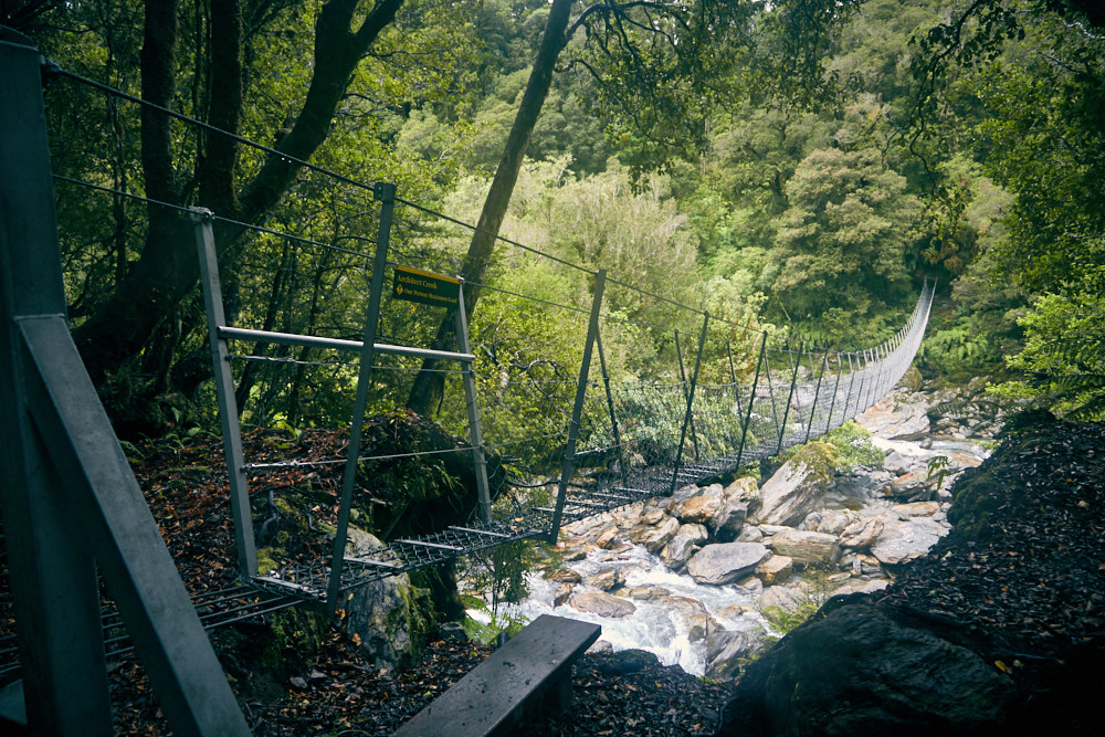 Copland Track, Hängebrücke, Brücke, Swing Bridge, Regenwald, Urwald, Wanderung, wandern, Miles and Shores, Neuseeland, Südinsel
