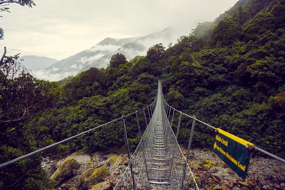 Copland Track, Swingbridge, Hängebrücke, Aussicht, view, Regenwald, Wanderung, wandern, 17 km, Kilometer, Südinsel, Neuseeland, Westküste, New Zealand,