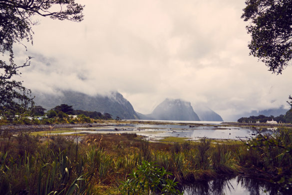 Milford Sound, UNESCO, Weltkulturerbe, Aussicht, view, Landscape, Lanschaft, Regen, regnerisch, bewölkt, cloudy, Fjordland Nationalpark