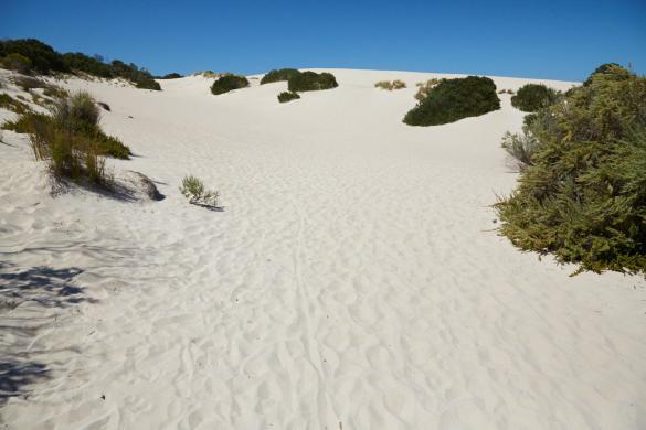 Sanddünen, Sandduenen, Sand, Little Sahara, Kangaroo Island, Sandboarding, Sandboard, fun, Spaß, spaßig, what to do, Australien, Roadtrip