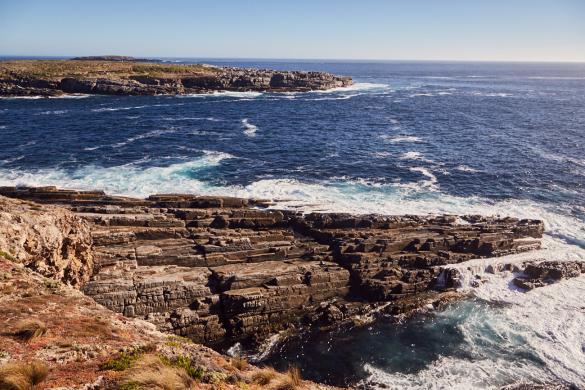 Seal Bay, Kangaroo Island, Robben, Aussichtspunkt, Meer, Tiere, Roadtrip, what do, what to see, Landschaftsfoto, Landscape, beautiful