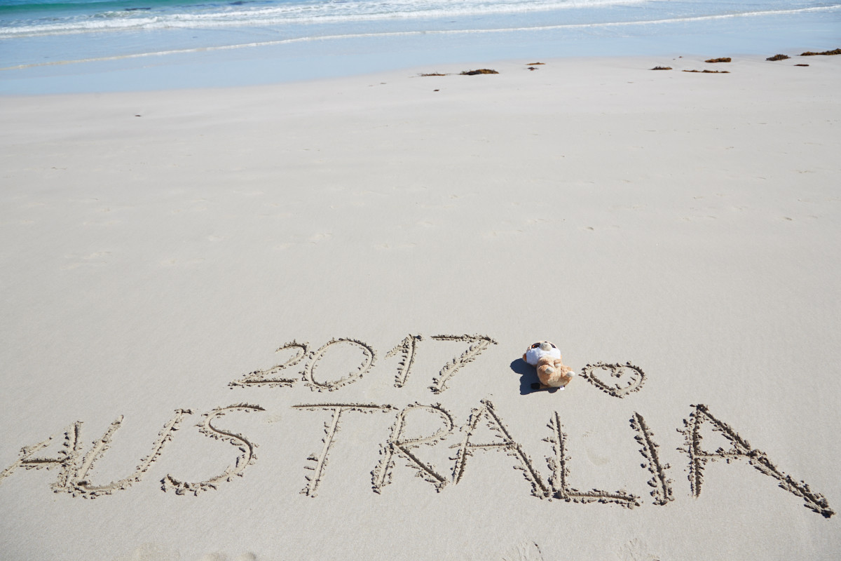 Australien, Stand, Meer, Beach, Australien, Stofftier, Maskottchen, Kangaroo Island, Miles and Shores