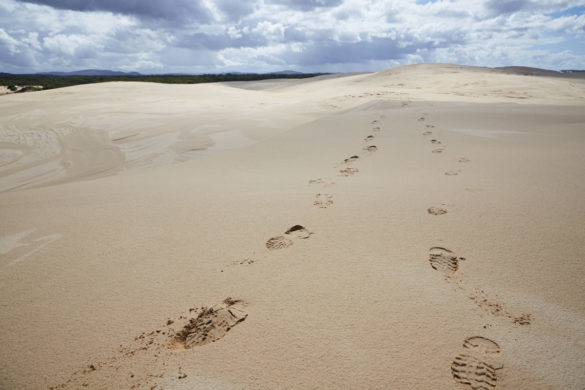 Fußspuren, im Sand, Australien, Sanddünen, Sand Dunes, Morimi Nationalpark