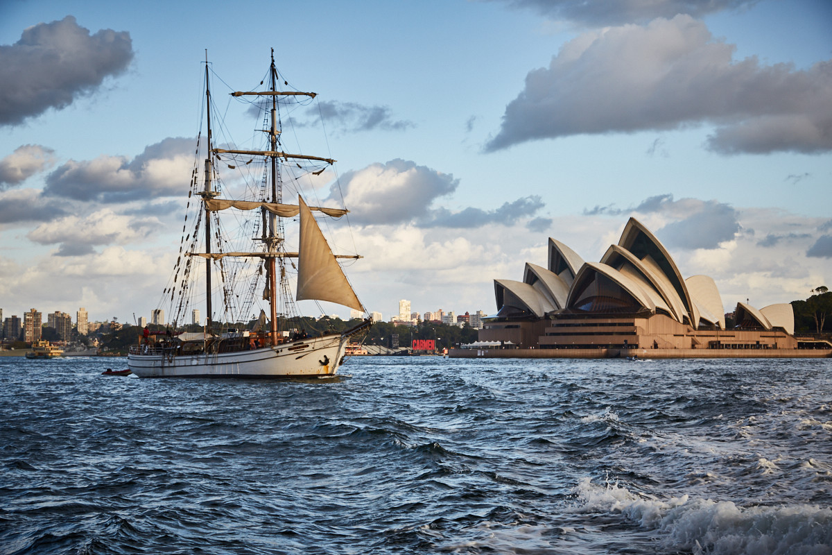 Sydney, Opera House, Segelboot, segeln, Hafen, view, cityview