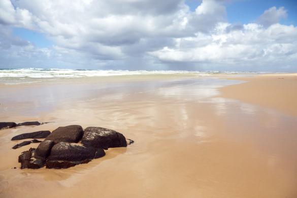 Fraser Island, beach, Strand, Ausblick, view, sand, sea, Meer, Brandung, Australien, wunderschön,