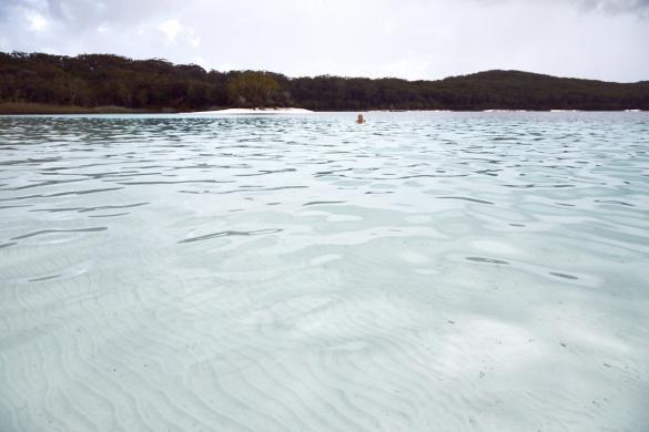Lake McKenzie, Fraser Island, Insel, Australien, Australia, roadtrip, things to see, must see, must do, klar, clear water, crystal clear, kristallklar,