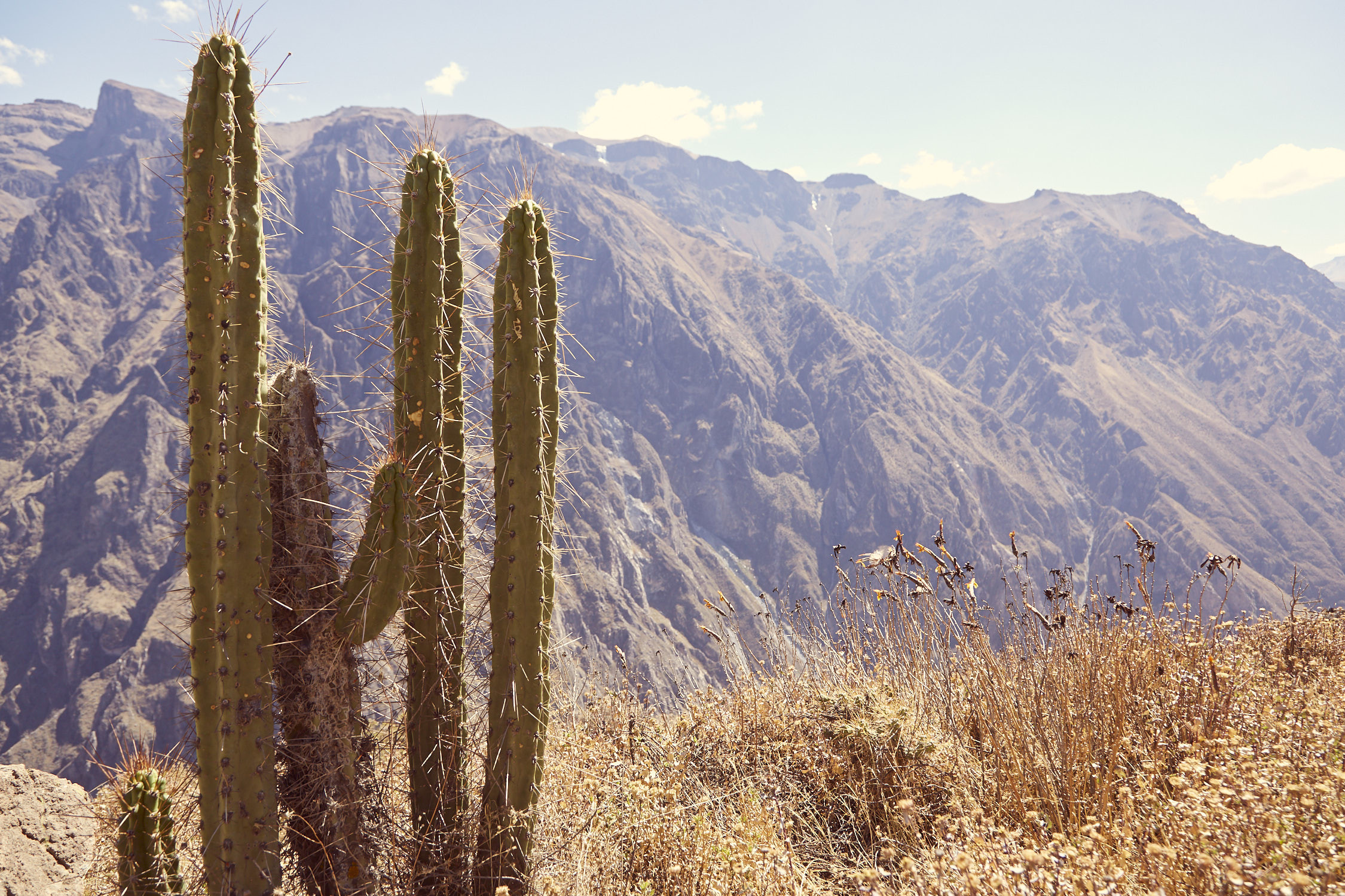 Ausblick Colca Canyon, Mirador Cruz del Condor, gesehen auf unserer Peru Reise