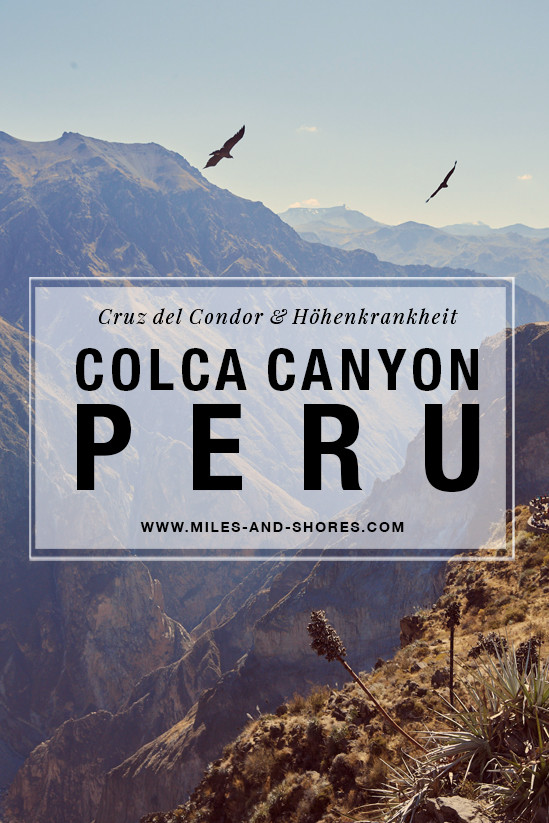 Der Colca Canyon mit dem Cruz del Condor ist wirklich beeindruckend! Die Andenkondore sind etwas ganz Besonders! Bei der Weiterfahrt auf unserem Peru Roadtrip nach Puno hat mich jedoch die Höhenkrankheit endgültig erwischt. #peru #perureise #peruurlaub #peruroadtrip #reiseplanung #höhenkrankheit